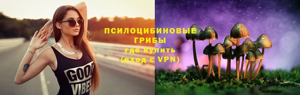 винт Алексеевка