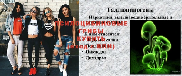 герыч Переславль-Залесский