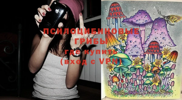 винт Алексеевка