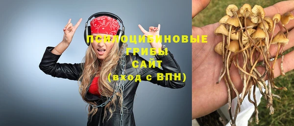 винт Алексеевка