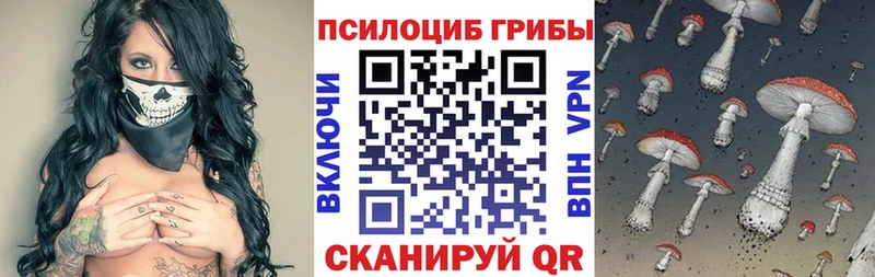 Псилоцибиновые грибы прущие грибы  omg онион  Полярные Зори 