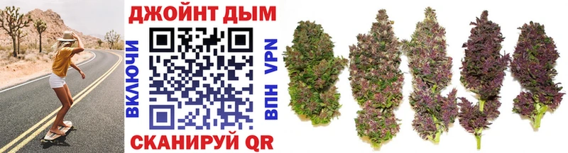 где купить наркоту  Полярные Зори  МАРИХУАНА SATIVA & INDICA 
